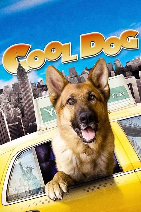 Cool Dog